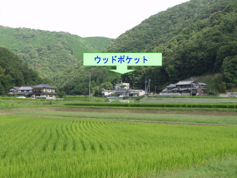 �H�[����